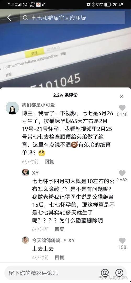 七七和铲屎官娱乐吃瓜君,吃瓜君带你揭秘娱乐圈幕后故事